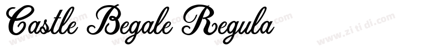 Castle Begale Regula字体转换